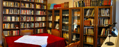 nikon2016-013693_stitch-850x340_1200x480